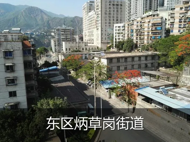 东区炳草岗街道