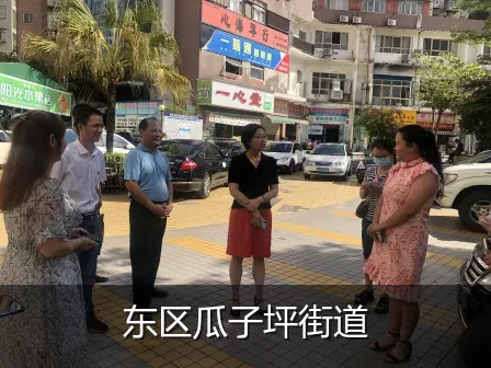 东区瓜子坪街道