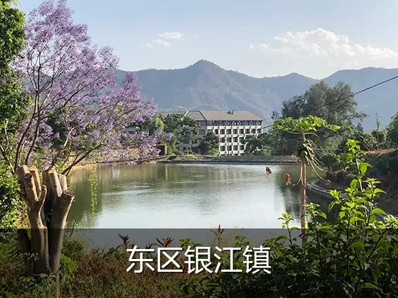 东区银江镇